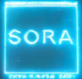 关于 Sora 的十点思考